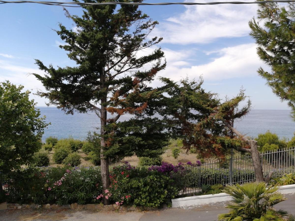 Villaggio Turistico La Vesca ซานเรโม ภายนอก รูปภาพ